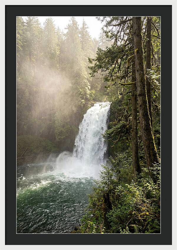 Snoqualmie Falls Serenity
