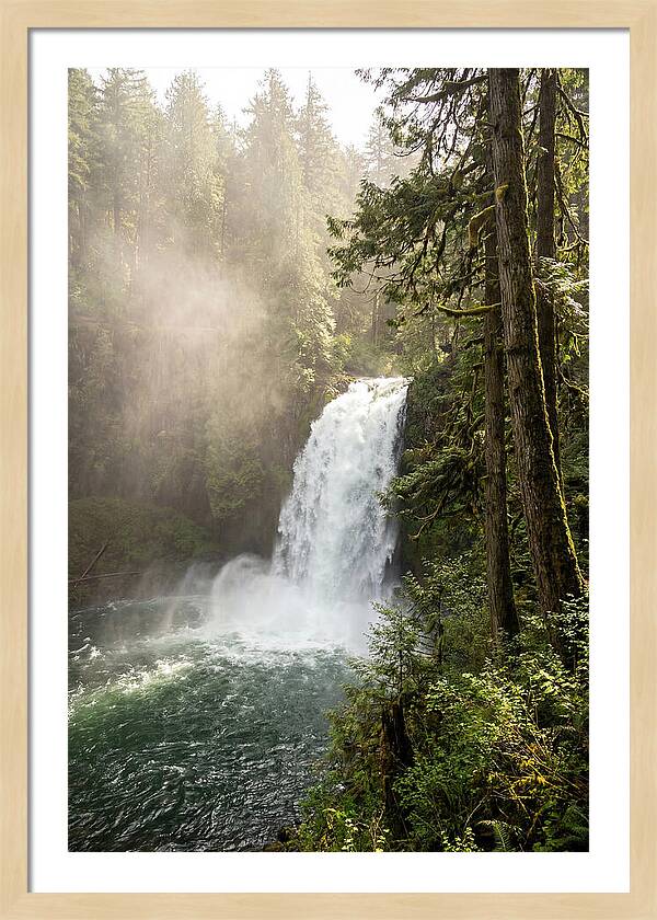 Snoqualmie Falls Serenity