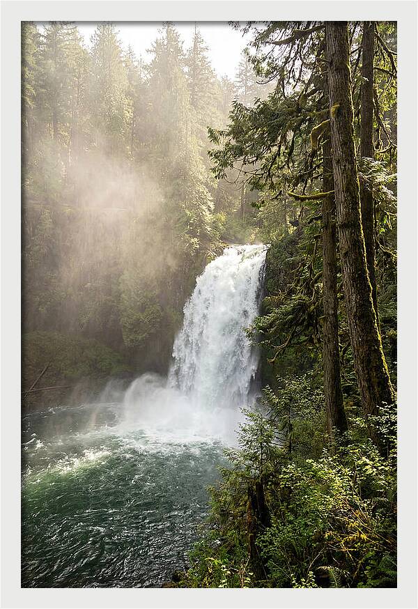 Snoqualmie Falls Serenity