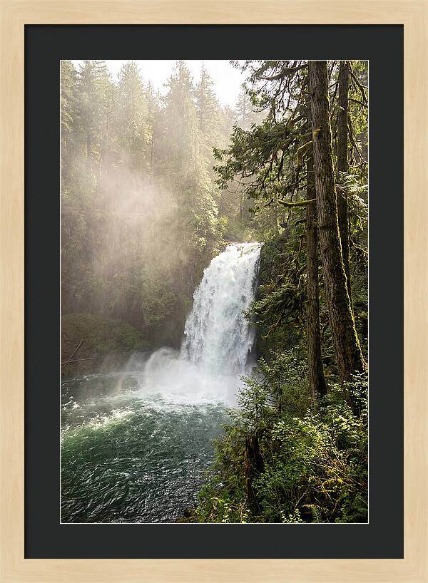 Snoqualmie Falls Serenity