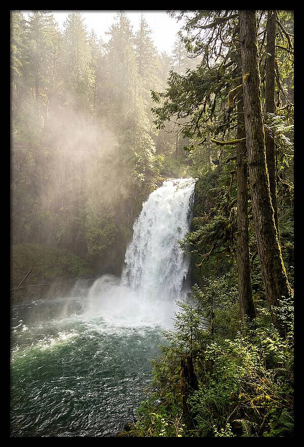 Snoqualmie Falls Serenity