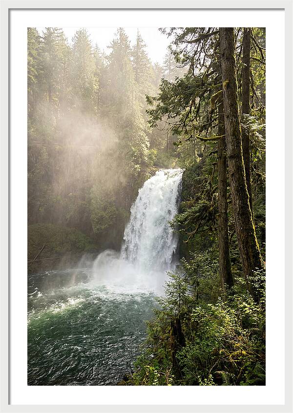 Snoqualmie Falls Serenity