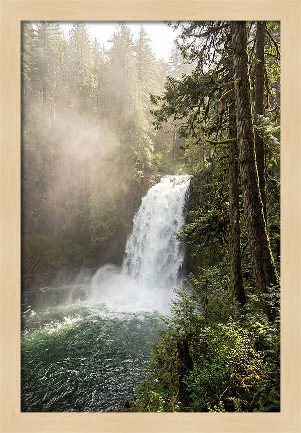 Snoqualmie Falls Serenity