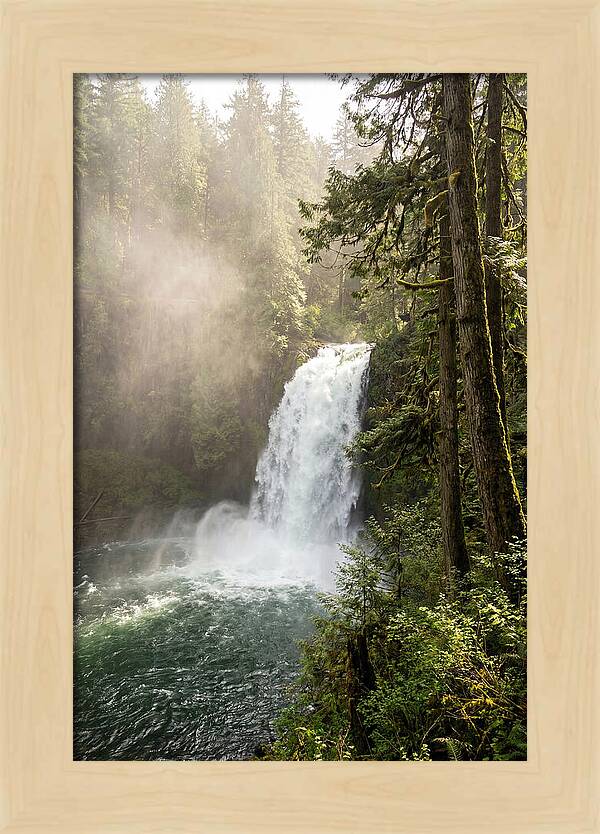 Snoqualmie Falls Serenity