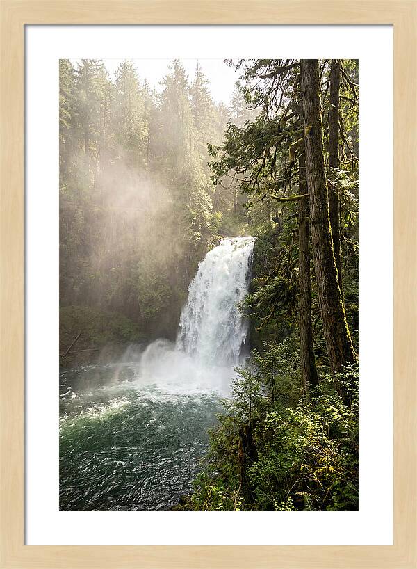 Snoqualmie Falls Serenity