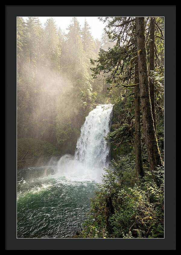 Snoqualmie Falls Serenity