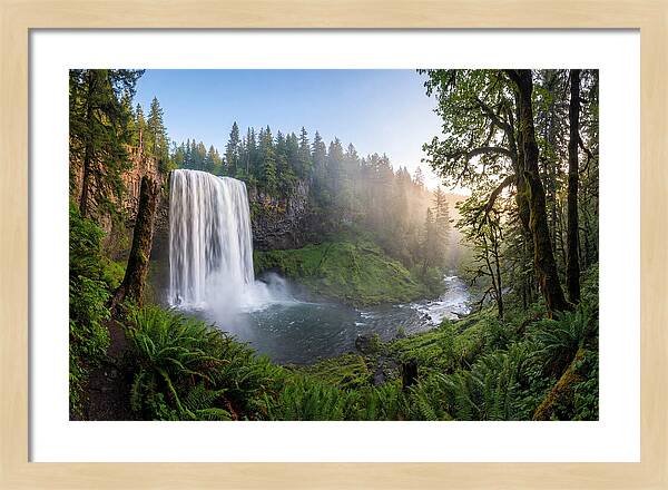 Snoqualmie Falls Tranquility