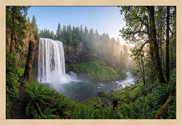 Snoqualmie Falls Tranquility