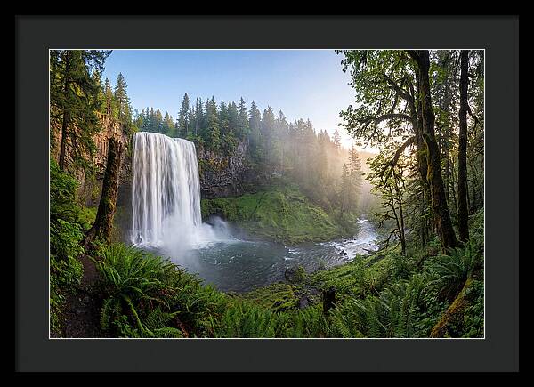 Snoqualmie Falls Tranquility