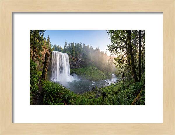 Snoqualmie Falls Tranquility
