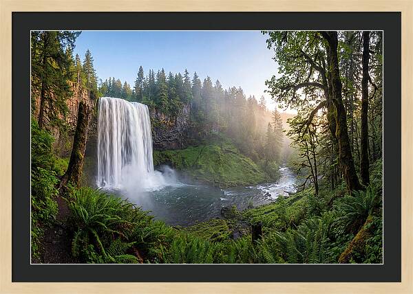 Snoqualmie Falls Tranquility