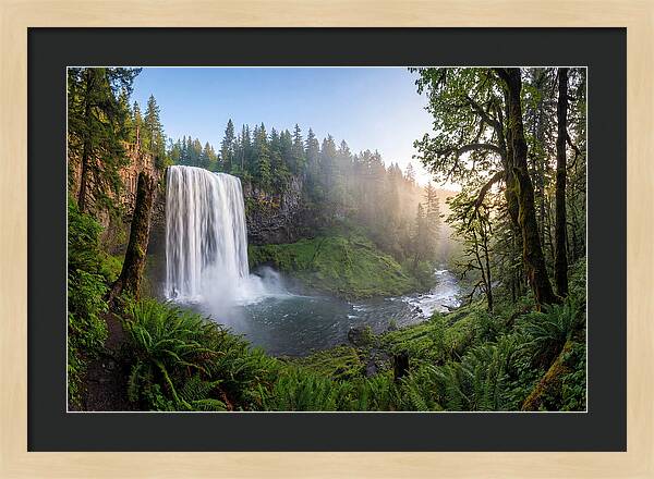 Snoqualmie Falls Tranquility