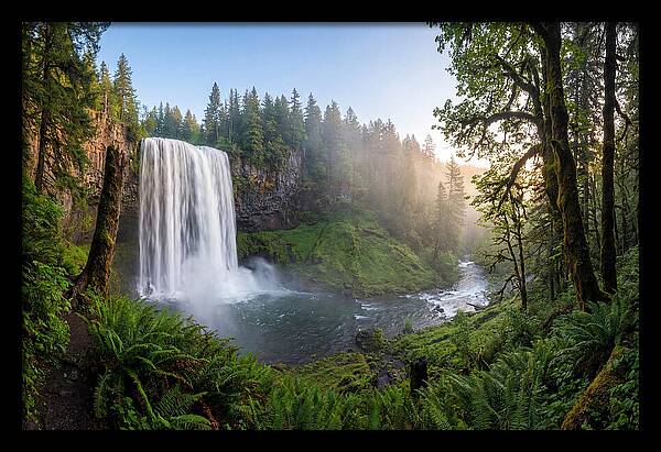 Snoqualmie Falls Tranquility