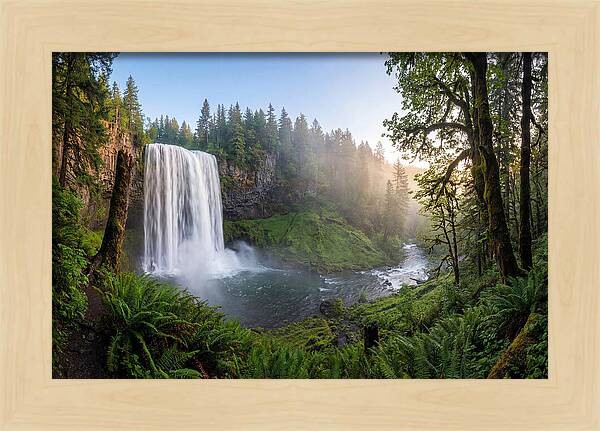 Snoqualmie Falls Tranquility