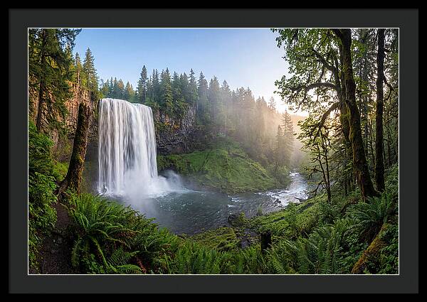 Snoqualmie Falls Tranquility
