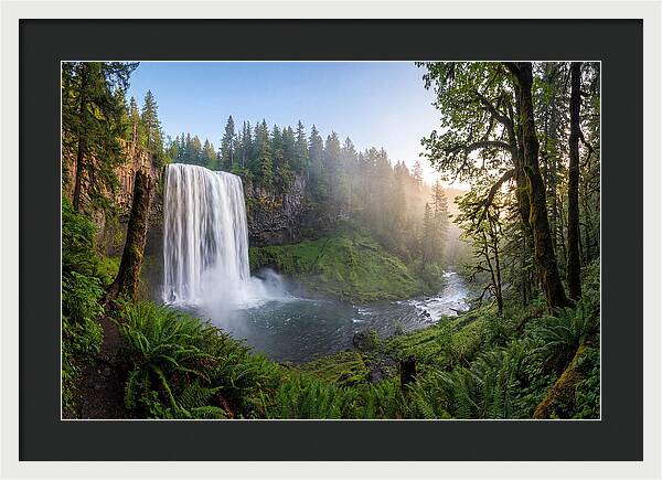 Snoqualmie Falls Tranquility