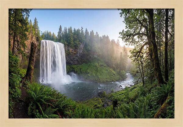 Snoqualmie Falls Tranquility
