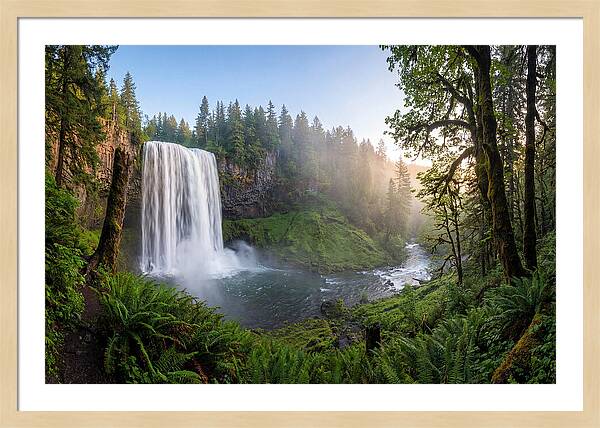 Snoqualmie Falls Tranquility