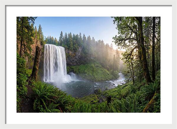 Snoqualmie Falls Tranquility