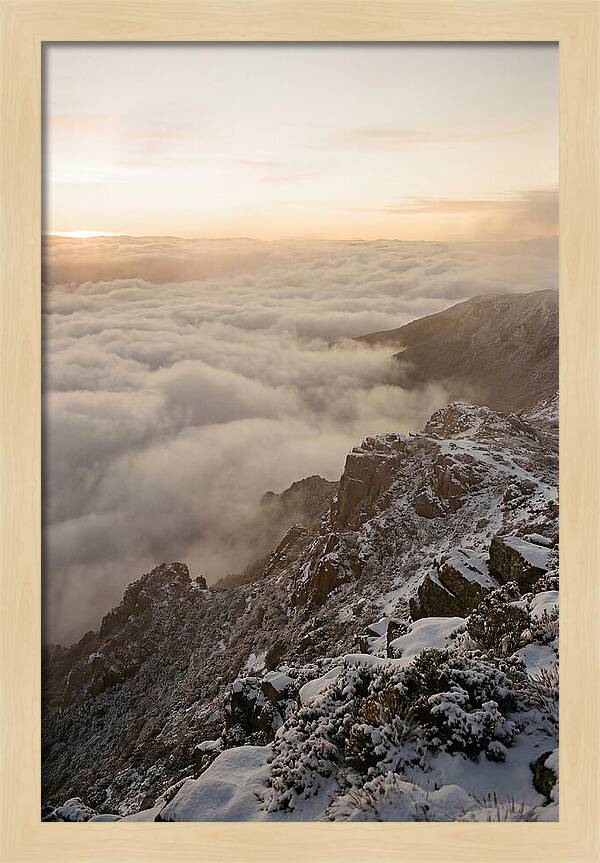 Snow Covered Ridge Line Above Sea Of Clouds