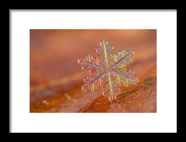 Snow Crystal Close Up