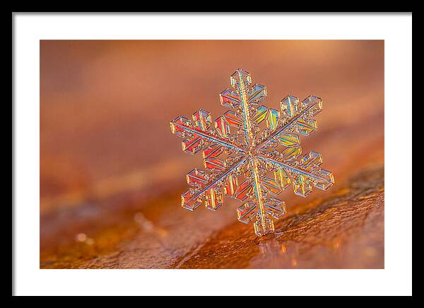 Snow Crystal Close Up