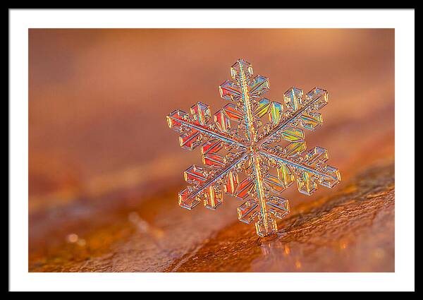 Snow Crystal Close Up