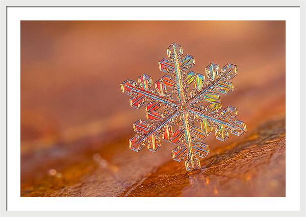 Snow Crystal Close Up