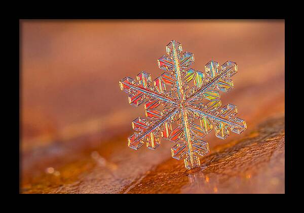 Snow Crystal Close Up