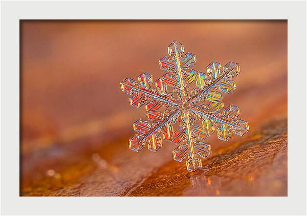 Snow Crystal Close Up