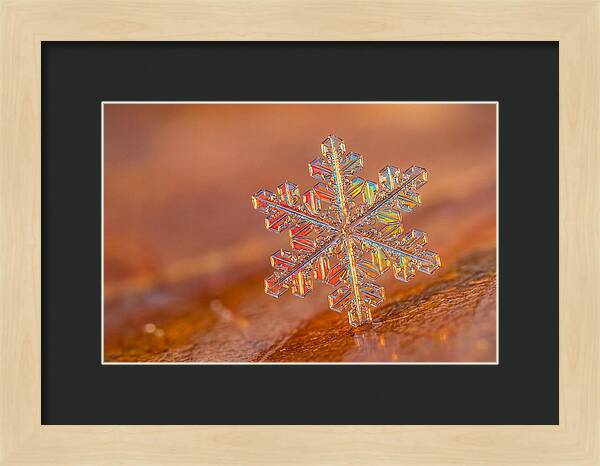 Snow Crystal Close Up