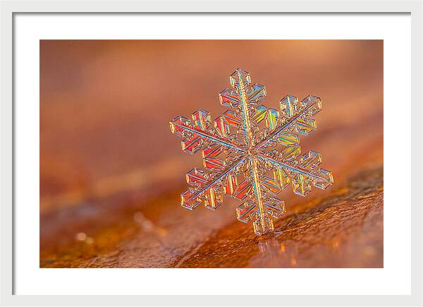 Snow Crystal Close Up