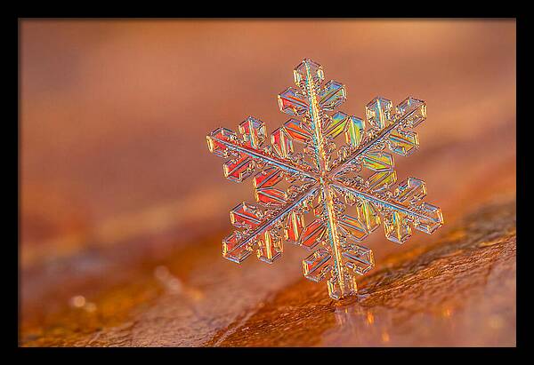 Snow Crystal Close Up