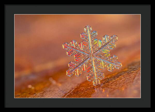 Snow Crystal Close Up