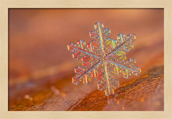 Snow Crystal Close Up