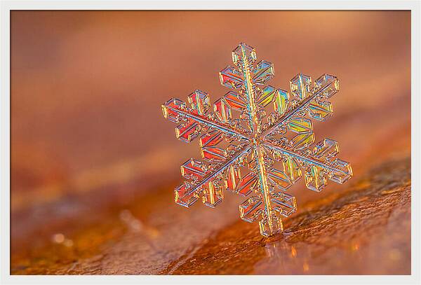 Snow Crystal Close Up