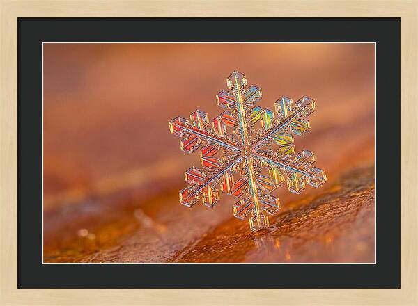 Snow Crystal Close Up