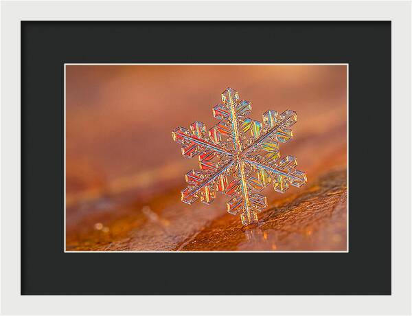 Snow Crystal Close Up