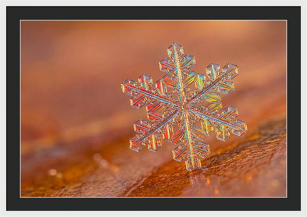 Snow Crystal Close Up