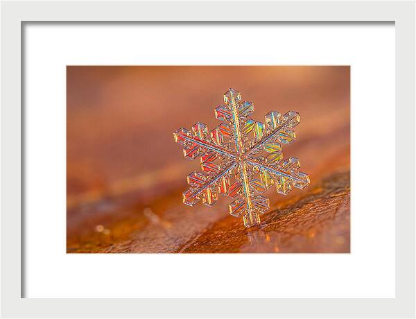 Snow Crystal Close Up