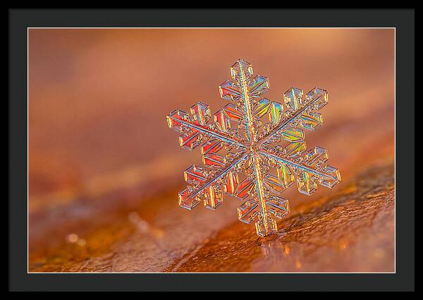 Snow Crystal Close Up