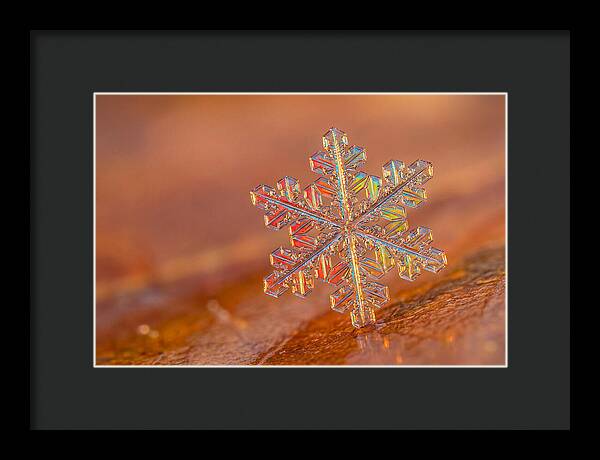 Snow Crystal Close Up