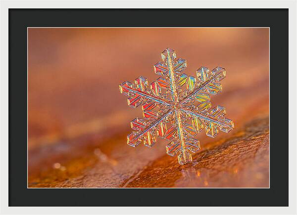 Snow Crystal Close Up