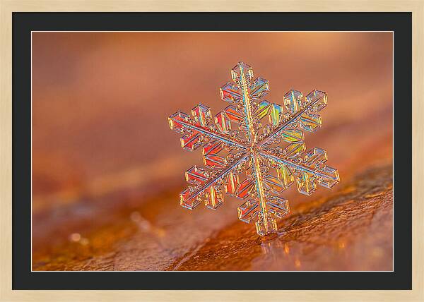 Snow Crystal Close Up