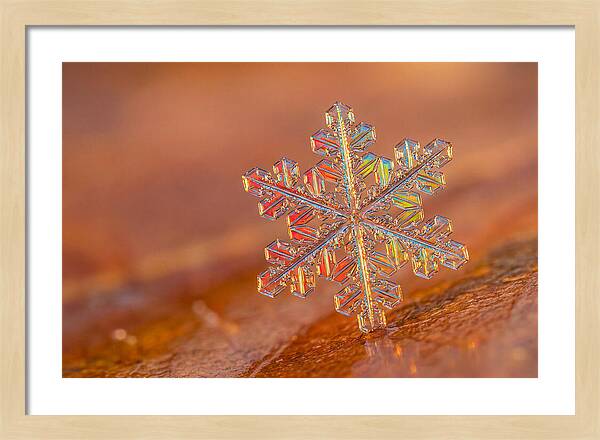 Snow Crystal Close Up