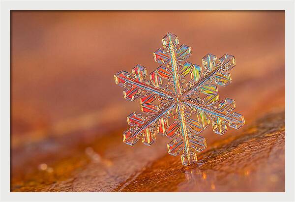 Snow Crystal Close Up