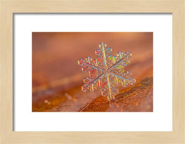 Snow Crystal Close Up