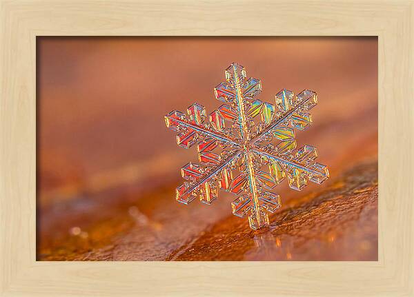Snow Crystal Close Up