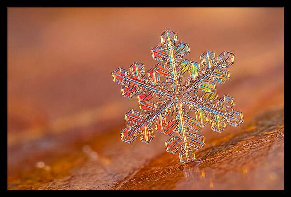 Snow Crystal Close Up