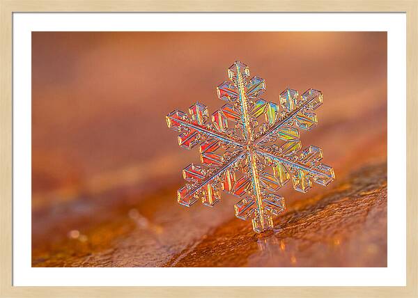 Snow Crystal Close Up
